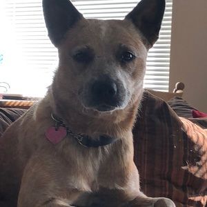 Meet your Posher, Melanie